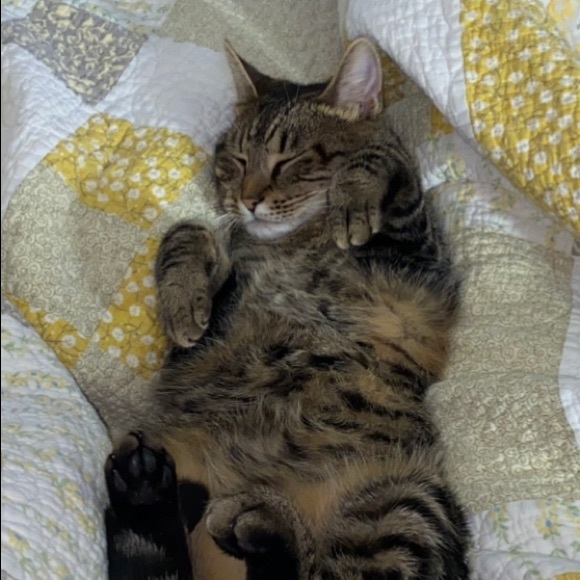 Profile Picture of Coco Miss puffs (@pmmora) on Poshmark