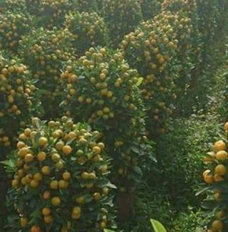 Sanyer Sinaga - Facebook Profile Picture of Sanyer Sinaga (@sanyer.sinaga) on Facebook