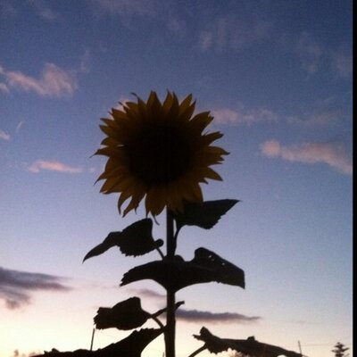 Profile Picture of Sergi Simón Quintana (@Sergi_Simon) on Twitter