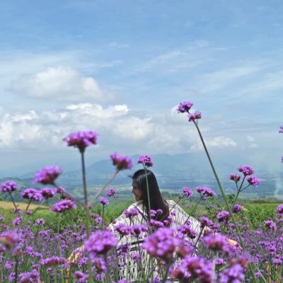 Profile Picture of Linnybell (@Linnybellllll) on Twitter