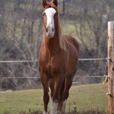 Profile Picture of Jamie Houser (@JamieJoHouser) on Twitter