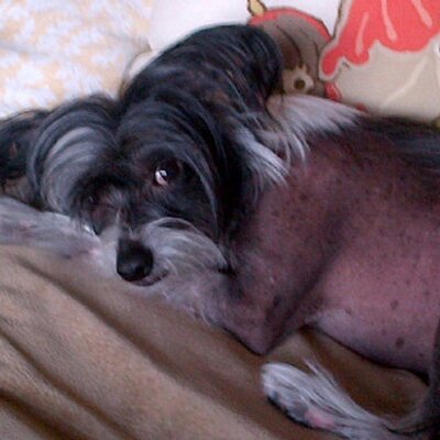 Profile Picture of Sabrina Coco (@cocobeaware) on Twitter