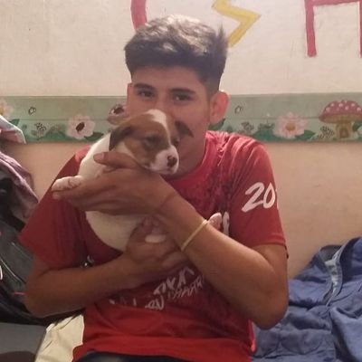 Alexander Gauna - Twitter Profile Picture of Alexander Gauna (@gauna_alexander) on Twitter