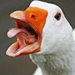 Profile Picture of Danny Fernandez (@pelvis.wesley) on Instagram