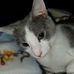 Profile Picture of Nancy Hoffmaster (@nancy.hoffmaster.9) on Facebook