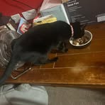 Becky Grant - Facebook Profile Picture of Becky Grant (@Becky-Grant) on Facebook