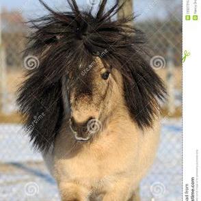 Profile Picture of J (@jeanwelter) on Twitter