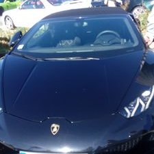 Profile Picture of Geko Der Salamanda (@EtzenOliver) on Twitter