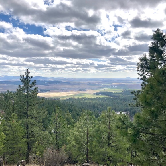 Profile Picture of Marcus Troyer (@mjtroyer99) on Poshmark