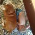Profile Picture of Paul Dugan (@paul.dugan.3367) on Facebook