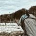 Profile Picture of Jimmy Sipes (@jimmy.sipes.73) on Facebook