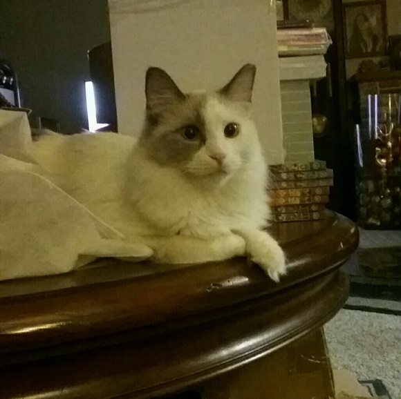 Profile Picture of Jordan Rosenbaum (@jordanrose47) on Poshmark