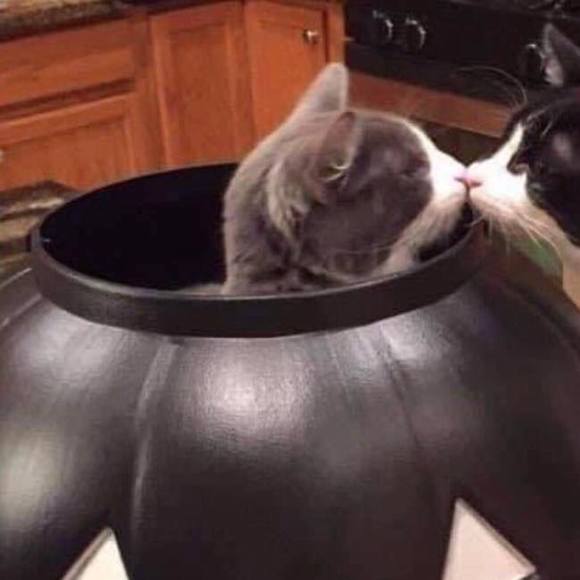 Profile Picture of Thư Minh (@minhthu_tomoyo) on Poshmark