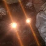 Profile Picture of lunar ray schafer (@is_ray_cat) on Instagram