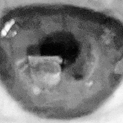 Profile Picture of Jordan -apiyo- (@apiyo_dreaming) on Twitter