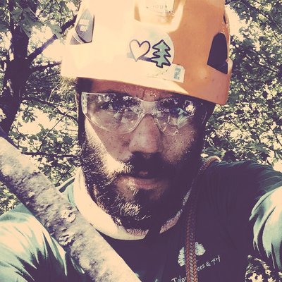 Profile Picture of Zachary Bird (@zacllbird) on Twitter
