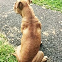 Profile Picture of Caleb Bowden (@caleb-bowden-2) on Quora