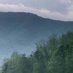 Profile Picture of Eileen_Mullins (@eileen_mullinsr) on Instagram