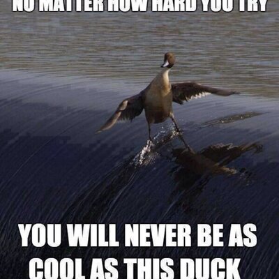 Profile Picture of Kevin Vandale (@kevvand) on Twitter