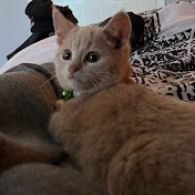 Profile Picture of Mark Feltham (@markfeltham7004) on Youtube