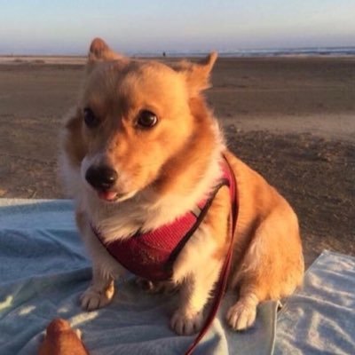 Profile Picture of Benjamin Tessier (@BenjaminTessi12) on Twitter