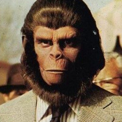 Profile Picture of Matt Dong (@MatthewDong) on Twitter