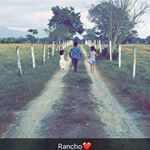 Profile Picture of Cesar Ozuna Aguilar (@cesar_ozuna2005) on Instagram