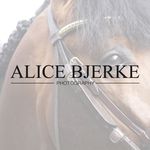 Profile Picture of Alice Bjerke Photography © (@alicebjerkephotography) on Instagram