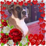 Profile Picture of Chris Newberry (@chris.newberry.56) on Instagram