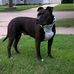 Profile Picture of Dennis Benson (@dennis.benson.714) on Facebook
