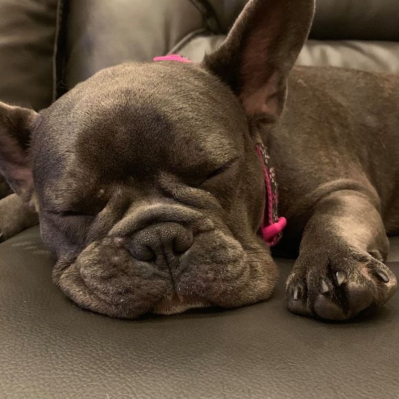 Profile Picture of Laila Rhenals (@rhenalslaila02) on Poshmark