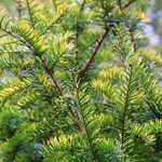 Profile Picture of khosrow (@khosrow.hakimi_12245) on Instagram