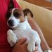 Profile Picture of Angelo Berretta (@angelo.berretta.54) on Facebook