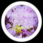 Profile Picture of Faye Liu (@faye.pictures) on Instagram