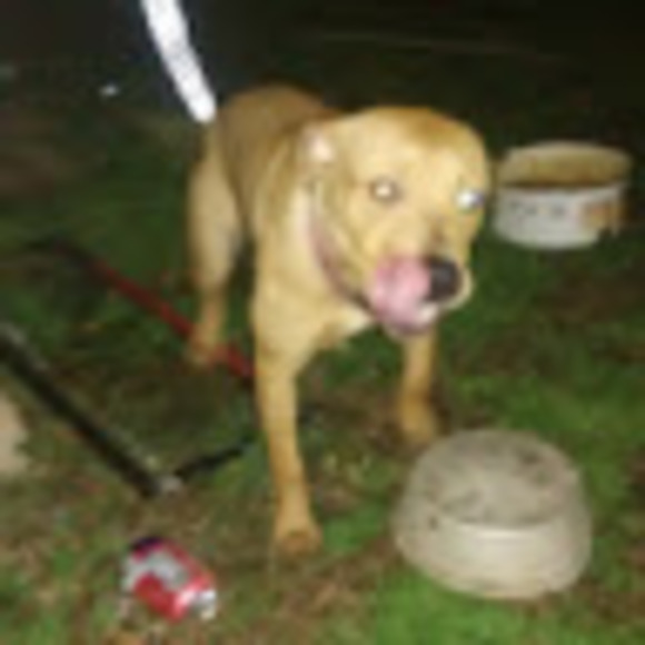 Profile Picture of Trevor Kunkel (@trevor_kunkel) on Poshmark