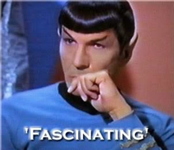 Profile Picture of T. Neitman (@tgn399) on Poshmark