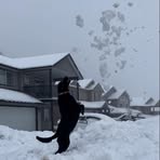 Profile Picture of Bryan Hamar (@bryan.hamar) on Facebook