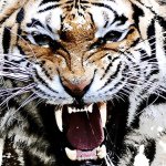 Profile Picture of Adam Hodge (@adamhodge10) on Instagram