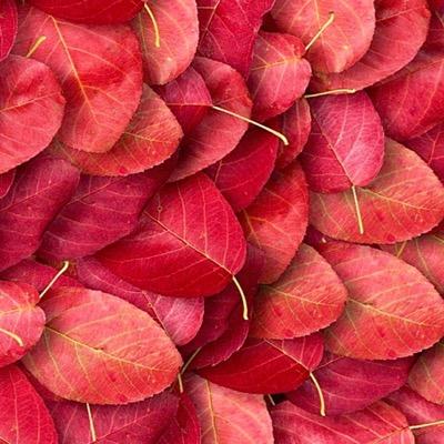 Profile Picture of Craig Kool (@CraigKool) on Twitter