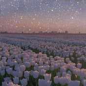 Profile Picture of Grafel (@efegokoglu9475) on Youtube