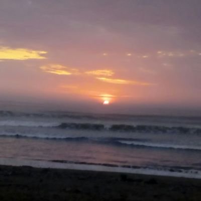 Profile Picture of Jacqueline Pulido (@Jacquel47941167) on Twitter