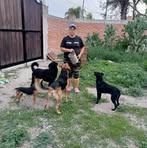 Profile Picture of Isabel Aldape (@Isabel-Aldape) on Facebook