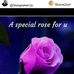 Profile Picture of Jackie Dreyer (@jackie.dreyer.165) on Facebook