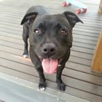 Profile Picture of robert bechmann (@bechmannrobert) on Instagram