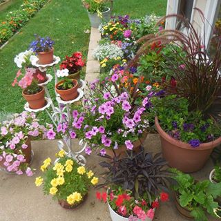 Profile Picture of Pam Sorg (@pam.sorg) on Facebook