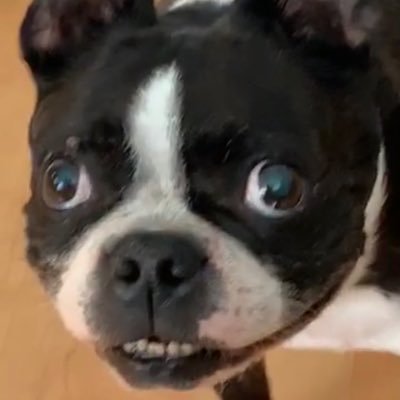 Profile Picture of Jessegroth (@jessegroth) on Twitter