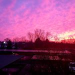 Profile Picture of tammy willett (@willett6382) on Instagram