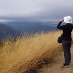 Profile Picture of Theresa Quigley (@irisdrive39) on Instagram