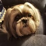 Profile Picture of Doris Combs (@doris.combs) on Instagram