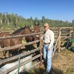 Profile Picture of Craig Greenlaw (@craig.greenlaw) on Instagram